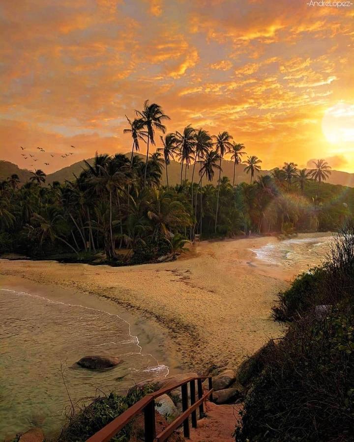 Hotel Jasayma Dentro Del Parque Tayrona El Zaino Buitenkant foto