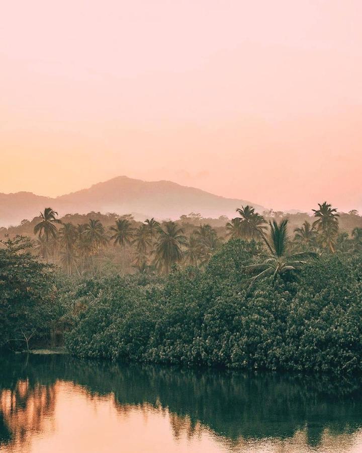 Hotel Jasayma Dentro Del Parque Tayrona El Zaino Buitenkant foto